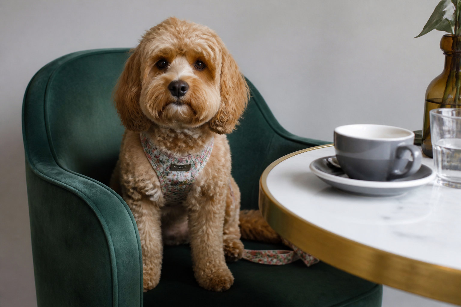 Kimpton St Honoré : l'alternative inclusive et dog-friendly